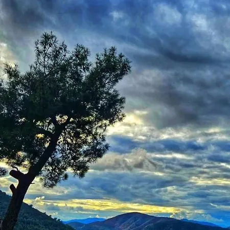 Sunset * フェティエ